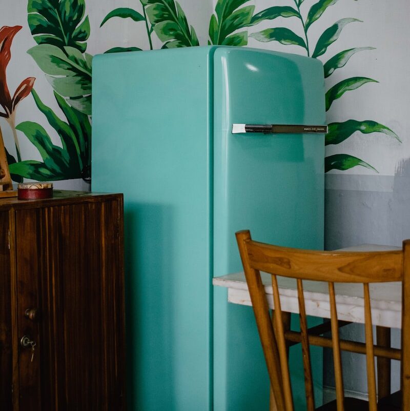 blue refrigerator beside green-leafed plant